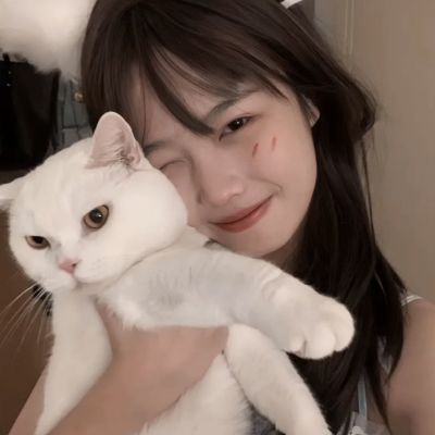 乱世诸侯手游下载
